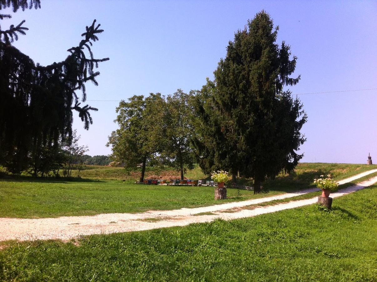 Gramignazzo B&B De Carol מראה חיצוני תמונה